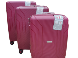 Crocodile Antitheft Zip Polypropylene Luggage 3 pc set