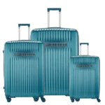 Carlton Meridian luggage 3 pc