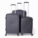 roncato spring pp luggage