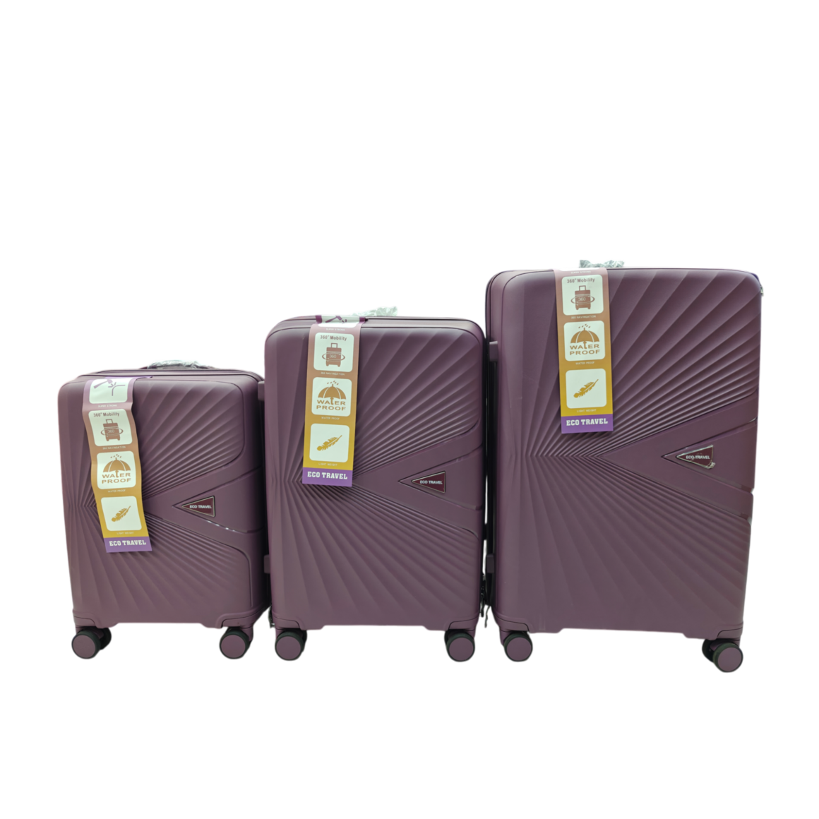 eco travel