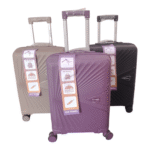 eco travel