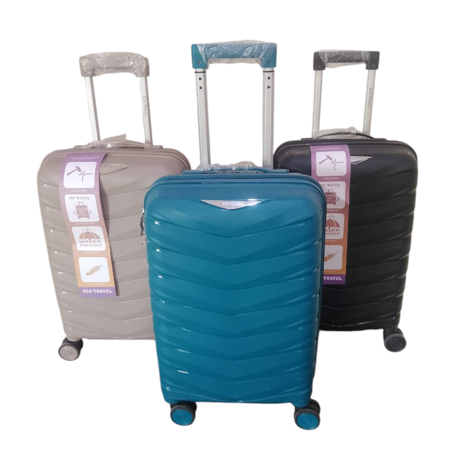 PhotoRoom-20250412_141454 eco travel