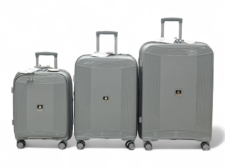 Delsey Laptop Polypropylene Luggage