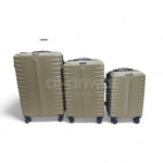 Samsonite Pro Luggage